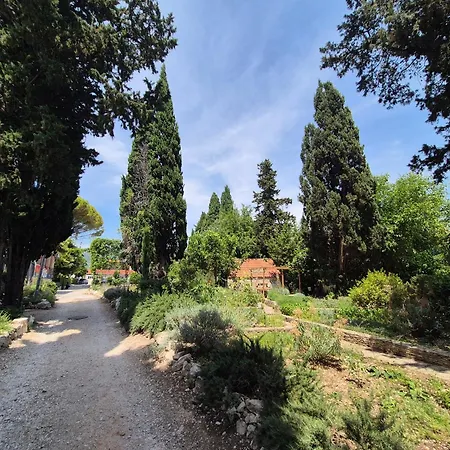 Spacious Antea *