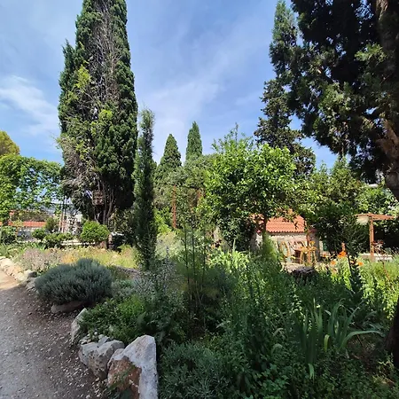 Spacious Antea Apartament